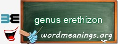 WordMeaning blackboard for genus erethizon